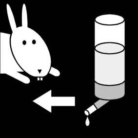 Målarbild ge vatten till kaninen