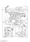 Målarbild gepard
