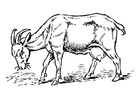 malarbild get