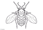 malarbild geting