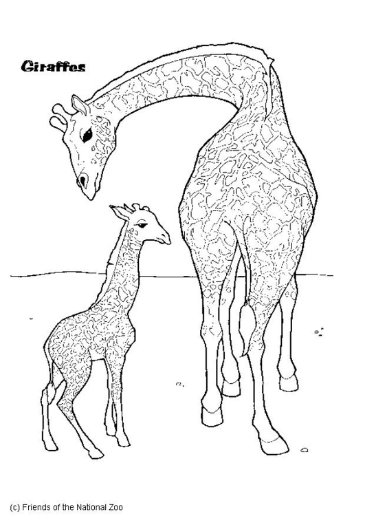 Målarbild Giraff