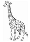 Målarbild giraff