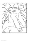 Målarbild Gorilla