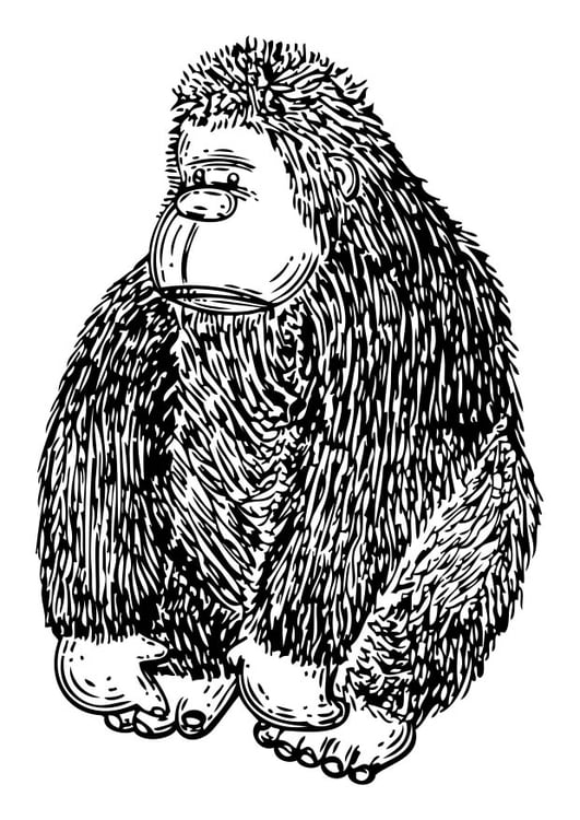 Målarbild gosedjur - gorilla