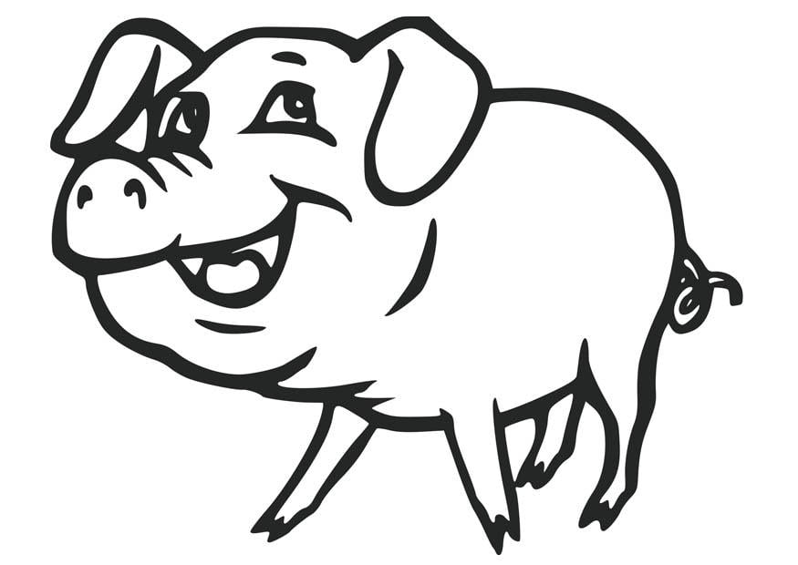 Målarbild gris