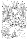 malarbild grodor
