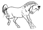 häst