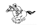 F�rgl�ggningsbilder hästkapplöpning