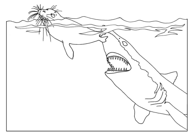 Målarbild haj attackerar sÃ¤l