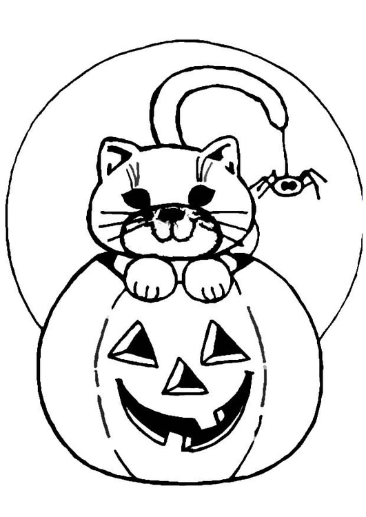 Målarbild Halloween - pumpa och katt