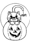 F�rgl�ggningsbilder halloween-pumpa och katt