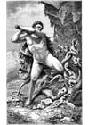 F�rgl�ggningsbilder Herkules och ormen
