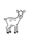malarbild hind
