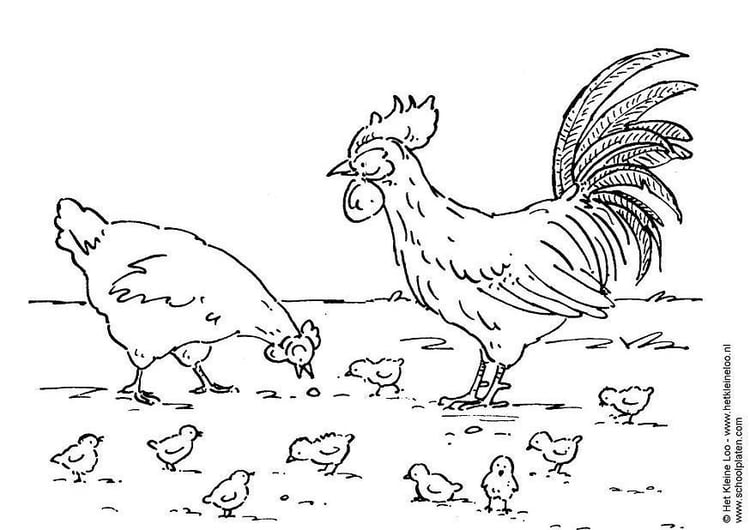 Målarbild hÃ¶na, tupp och kycklingar