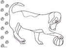 Målarbild Hund