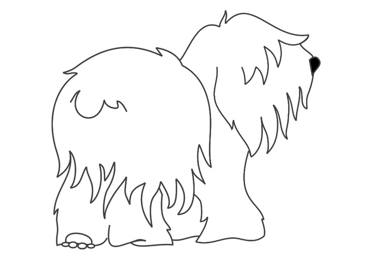 Målarbild hund - stubbsvans