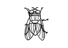 malarbild husfluga