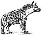 Målarbild hyena