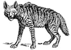Målarbild hyena
