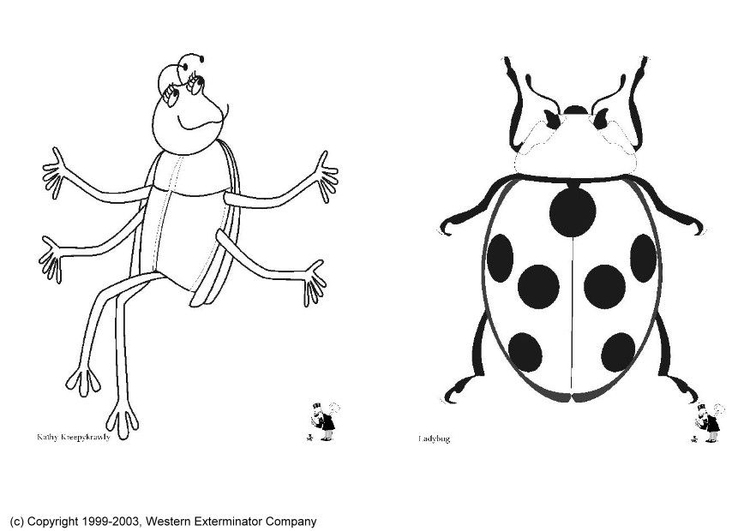 Målarbild Insekter