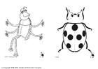 Målarbild insekter