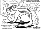 Målarbild jordekorre