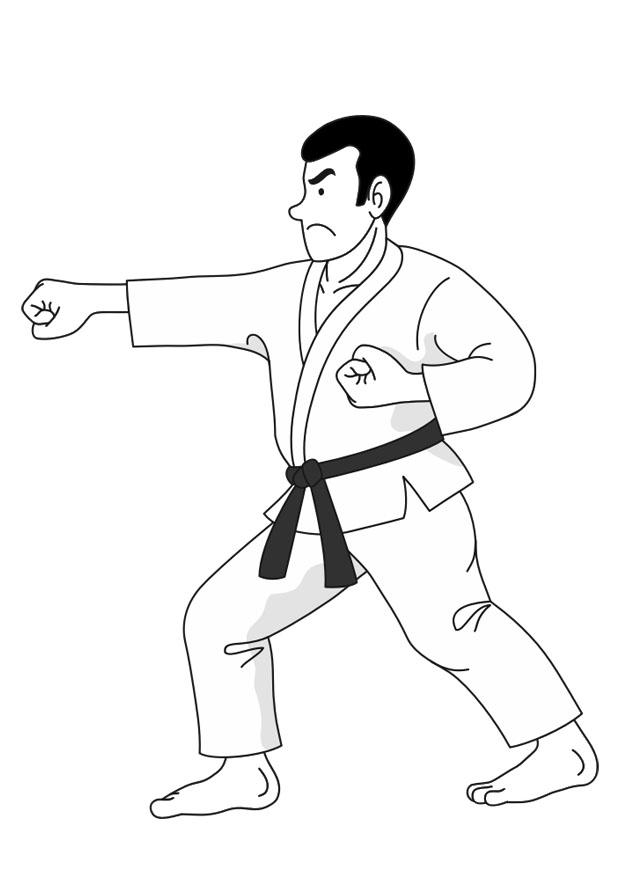 Målarbild judo