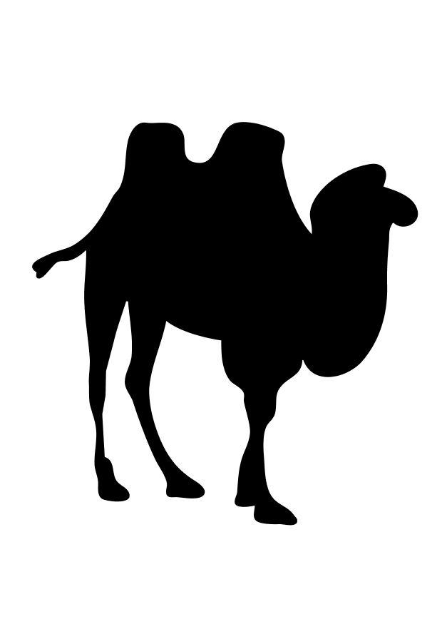 Målarbild kamel