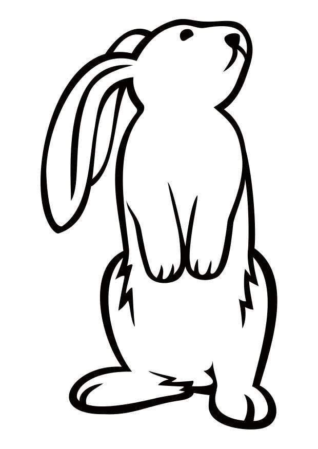 Målarbild kanin