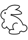 F�rgl�ggningsbilder kanin