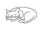 malarbild katt