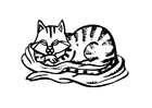 malarbild katt
