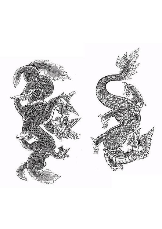 kinesiska drakar