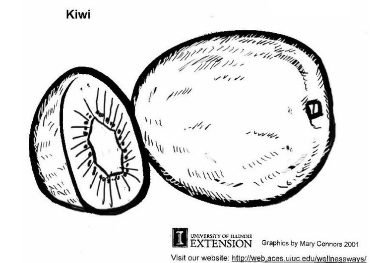 Målarbild Kiwi