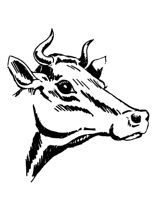 Målarbild ko med horn
