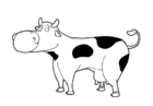 malarbild ko