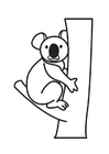 malarbild koalabjörn