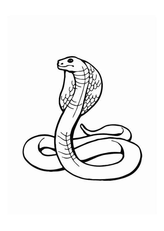 Målarbild kobra