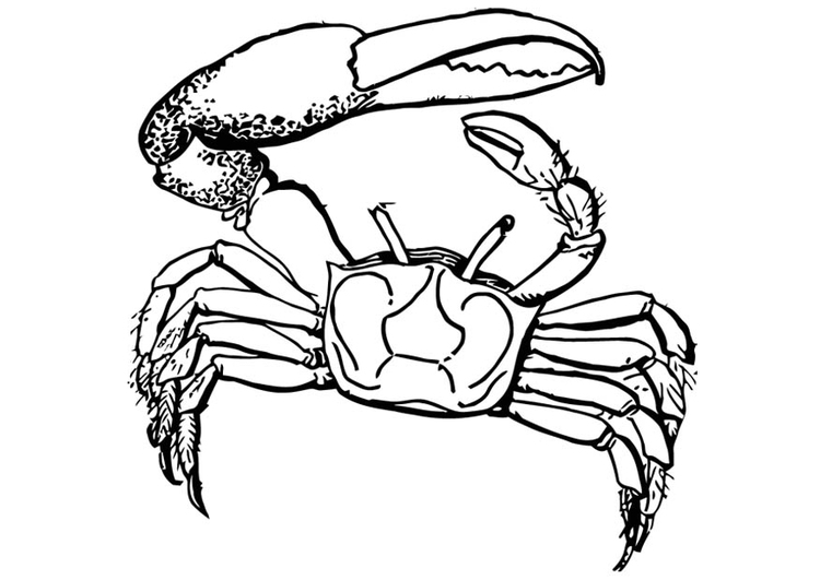 Målarbild krabba