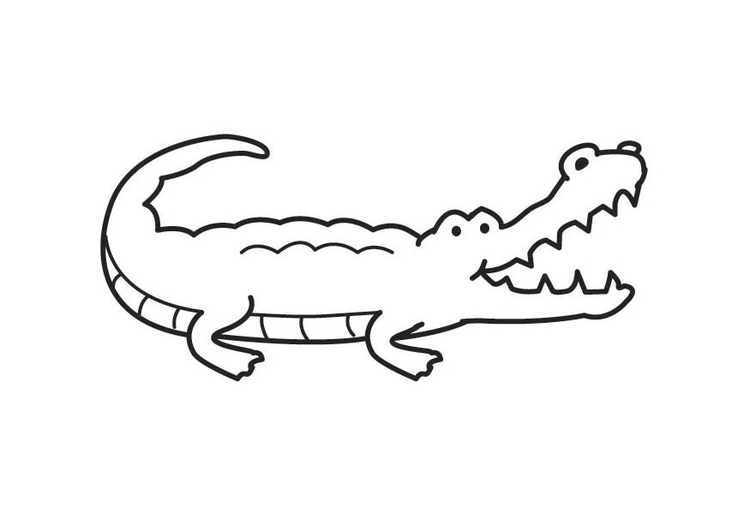Målarbild krokodil