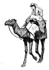 kvinna på en kamel