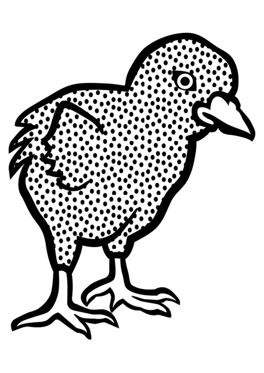 Målarbild kyckling