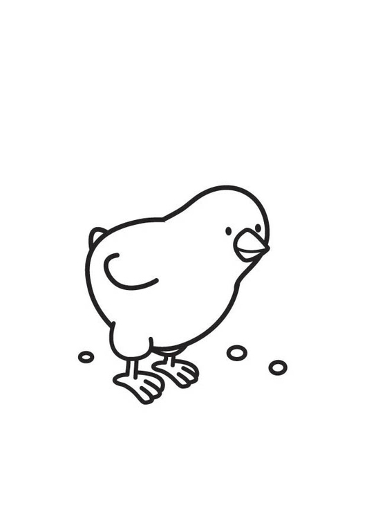 Målarbild kycklingens huvud