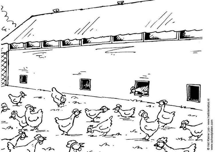 Målarbild kycklingfarm