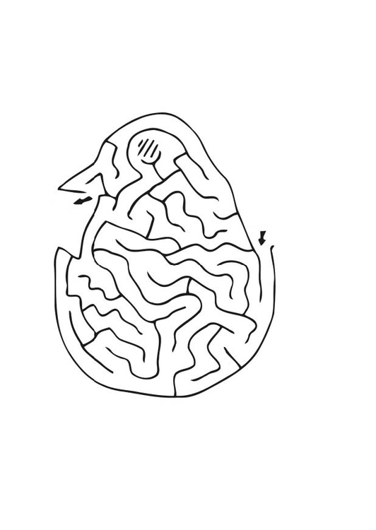 Målarbild labyrint - kyckling
