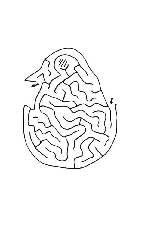 labyrint - kyckling