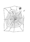 F�rgl�ggningsbilder labyrint - spindelväv
