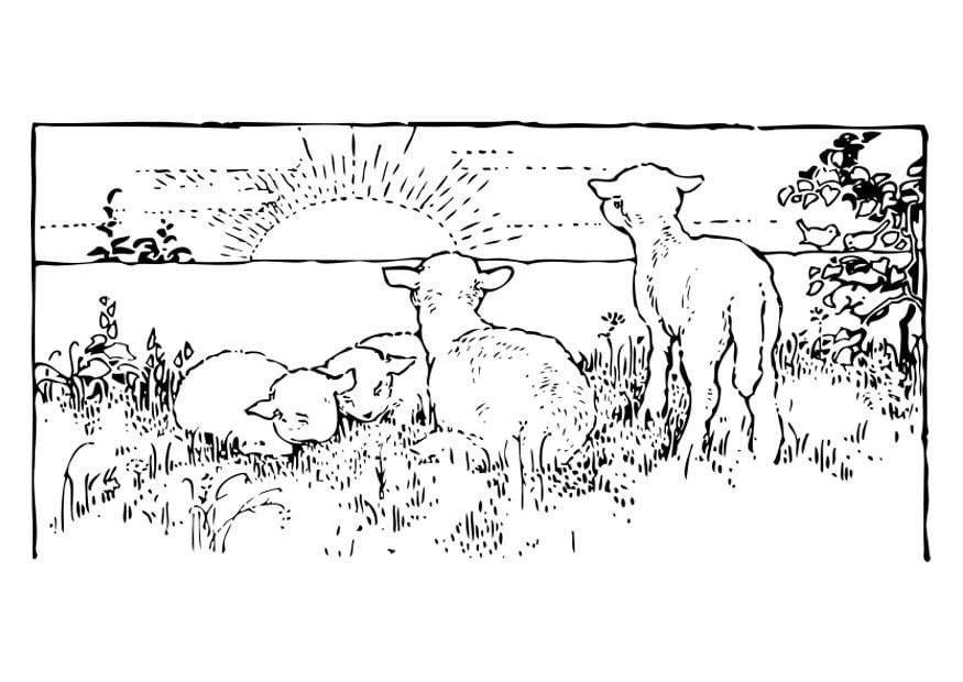 Målarbild landskapp med lamm
