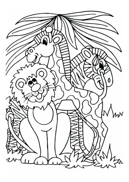 lejon, giraff och zebra