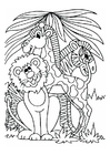 F�rgl�ggningsbilder lejon, giraff och zebra